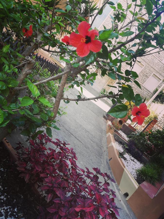 Anto'S Apartment - Giardini Naxos Exterior photo